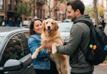 ¿Quién se queda con el perro tras un divorcio? Proponen pensión y cuidados para mascotas en CDMX