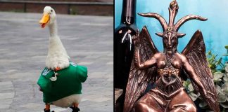 #VIDEO // Critican a la dueña del Pato Merlín por figura esotérica; ella pide respeto a sus creencias