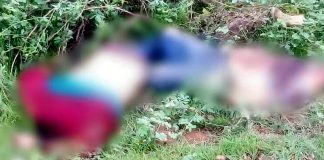 Hallan a dos hombres muertos y con huellas de violencia, en Turicato