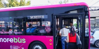 Obras del Morebús continúan; resolución judicial no detiene el proyecto