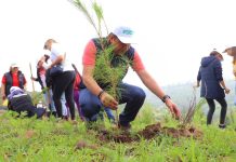 Barragán exige un alto al ecocidio en Morelia