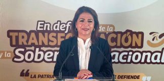 Nombramientos de coordinadores de Morena se darán tras el informe presidencial: Fabiola Alanís