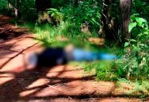Hallan a hombre asesinado en un camino rústico de la región de Tlalpuhahua