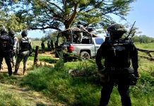 Localizan a un masculino asesinado en terracería de Buenavista