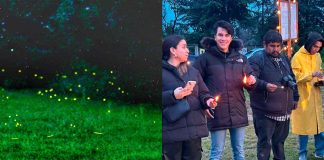No te pierdas el cierre de la temporada de luciérnagas en Tlalpujahua