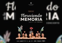Media Luna prepara la presentación de su álbum Floreciendo Memorias, música, son y resistencia