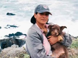 Muere la cineasta Paz Ramírez tras ser atropellada en Providencia, Santiago de Chile