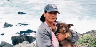 Muere la cineasta Paz Ramírez tras ser atropellada en Providencia, Santiago de Chile