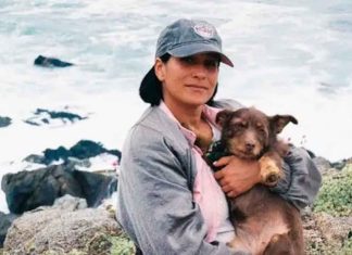 Muere la cineasta Paz Ramírez tras ser atropellada en Providencia, Santiago de Chile