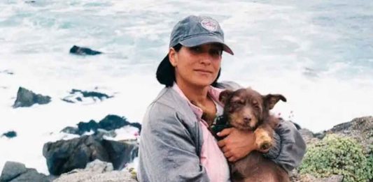 Muere la cineasta Paz Ramírez tras ser atropellada en Providencia, Santiago de Chile