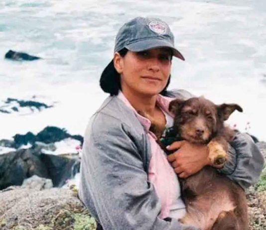 Muere la cineasta Paz Ramírez tras ser atropellada en Providencia, Santiago de Chile