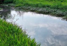 Lluvias provocan inundaciones y vehículos varados en Camelinas, Ventura Puente y Prados Verdes: Ayuntamiento de Morelia