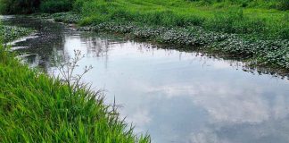 Lluvias provocan inundaciones y vehículos varados en Camelinas, Ventura Puente y Prados Verdes: Ayuntamiento de Morelia