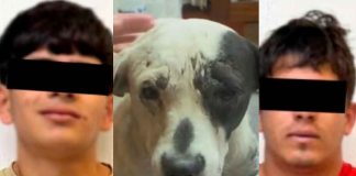 Imputan a 2 sujetos por arrastrar a una perrita con una motocicleta en Jalisco
