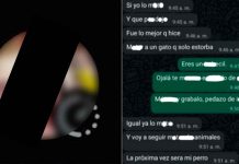 Sujeto mata a su gato porque le estorbaba y usa la foto del cuerpo en su perfil de WhatsApp