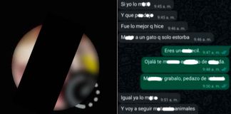 Sujeto mata a su gato porque le estorbaba y usa la foto del cuerpo en su perfil de WhatsApp