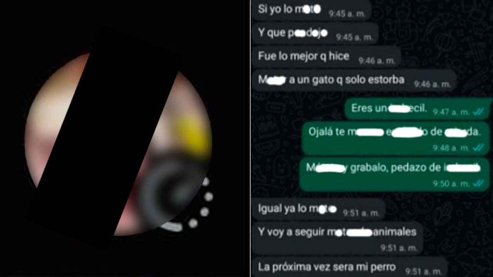 sujeto-asesina-gato-presume-foto-whatsapp-puebla