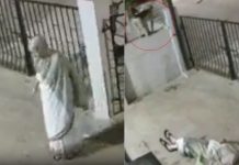 #VIDEO // Tragedia en India: mujer de 91 años muere tras ser empujada por un mono