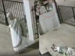 #VIDEO // Tragedia en India: mujer de 91 años muere tras ser empujada por un mono