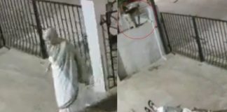 #VIDEO // Tragedia en India: mujer de 91 años muere tras ser empujada por un mono