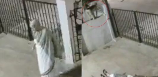 #VIDEO // Tragedia en India: mujer de 91 años muere tras ser empujada por un mono