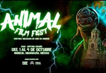 Animal Film Fest celebra 7 años con salas llenas y más de 500 cortometrajes inscritos