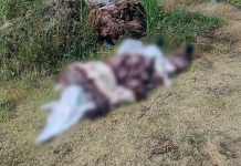 Abandonan cadáver encobijado en el camino a Acahuato
