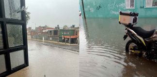 Estancamiento de aguas negras y pluviales generan foco de infección en la Ampliación El Porvenir, Morelia