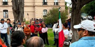 Alertan ambientalistas por podas en avenida Nocupétaro; exigen transparencia en segunda etapa del Morebús