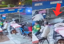 #VIDEO // Acusan a trabajador de lunchería de arrojar agua hirviendo a perritos callejeros; piden justicia