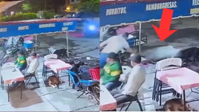 #VIDEO // Acusan a trabajador de lunchería de arrojar agua hirviendo a perritos callejeros; piden justicia