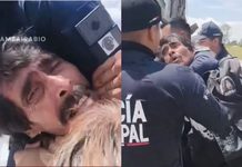 #VIDEO // Tres policías someten a adulto mayor por evitar la tala de árboles en su propiedad en Polotitlán