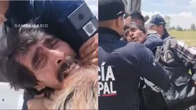 #VIDEO // Tres policías someten a adulto mayor por evitar la tala de árboles en su propiedad en Polotitlán