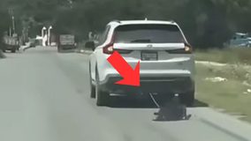 #VIDEO // Captan a sujeto arrastrando a un perro amarrado a camioneta