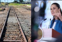 Sheinbaum anuncia la construcción de 2,400 kilómetros de vías de tren en el país