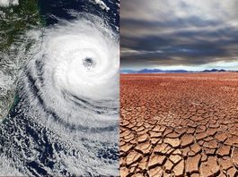 El fenómeno de El Niño ha causado más hambre en el mundo advierte RU