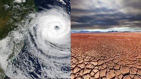 El fenómeno de El Niño ha causado más hambre en el mundo advierte RU