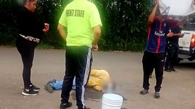 Varios heridos tra ataque de abejas en Tarímbaro