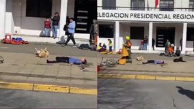 #VIDEO // Perrito roba miradas en Tehuacán al hacerse el “muertito” durante el Simulacro Nacional 2026