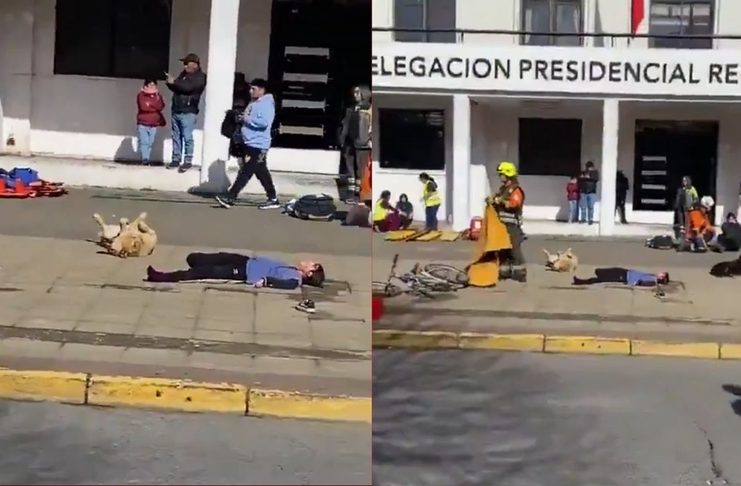 #VIDEO // Perrito roba miradas en Tehuacán al hacerse el “muertito” durante el Simulacro Nacional 2026