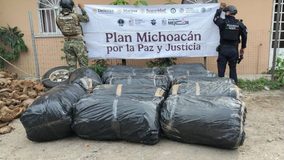 SSP y Marina aseguran camioneta con casi media tonelada de marihuana en Lázaro Cárdenas
