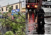 Lluvias provocan caída de cinco árboles, encharcamientos y dos viviendas con inundaciones en Morelia; monitorean zonas centro, oriente y sur