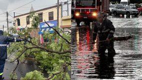 Lluvias provocan caída de cinco árboles, encharcamientos y dos viviendas con inundaciones en Morelia; monitorean zonas centro, oriente y sur