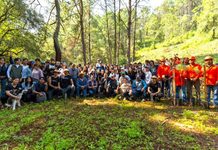 Pepe Martínez y sociedad civil plantan más de mil árboles nuevos para Morelia