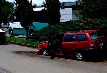 Auto choca contra árbol y lo derriba en la avenida Periodismo, en Morelia