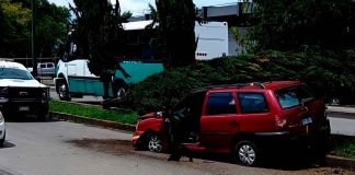 Auto choca contra árbol y lo derriba en la avenida Periodismo, en Morelia