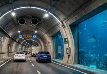 De 50 a 5 minutos: así será el primer túnel submarino de América Latina en Brasil