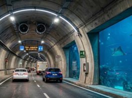 De 50 a 5 minutos: así será el primer túnel submarino de América Latina en Brasil