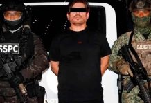 Cae “El Peli”, presunto operador financiero y logístico de Los Chapitos en operativo federal en Mazatlán