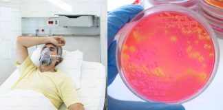 ¿Qué es la salmonelosis y por qué generó una alerta en el Hospital General de México?